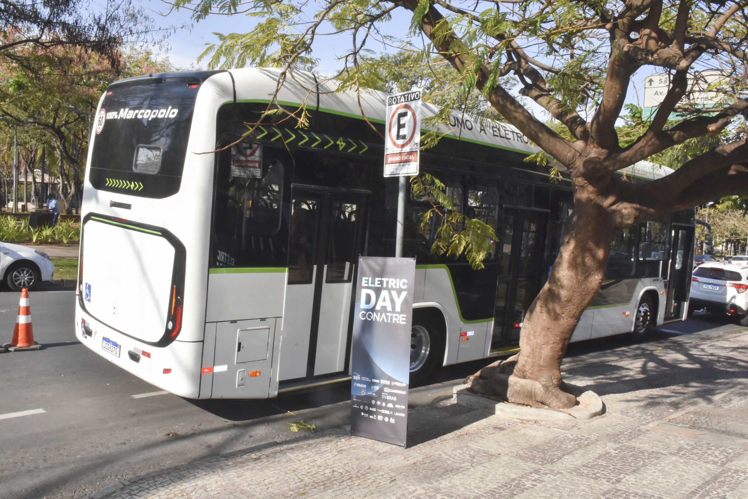 Copy of art1video_458